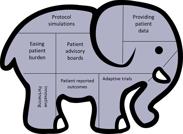 patient-centricity-elephant